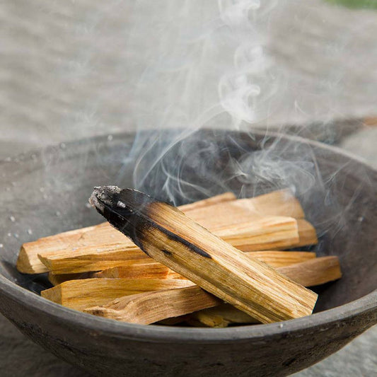 25g Palos de árbol verde de palo santo 3-4 Palitos