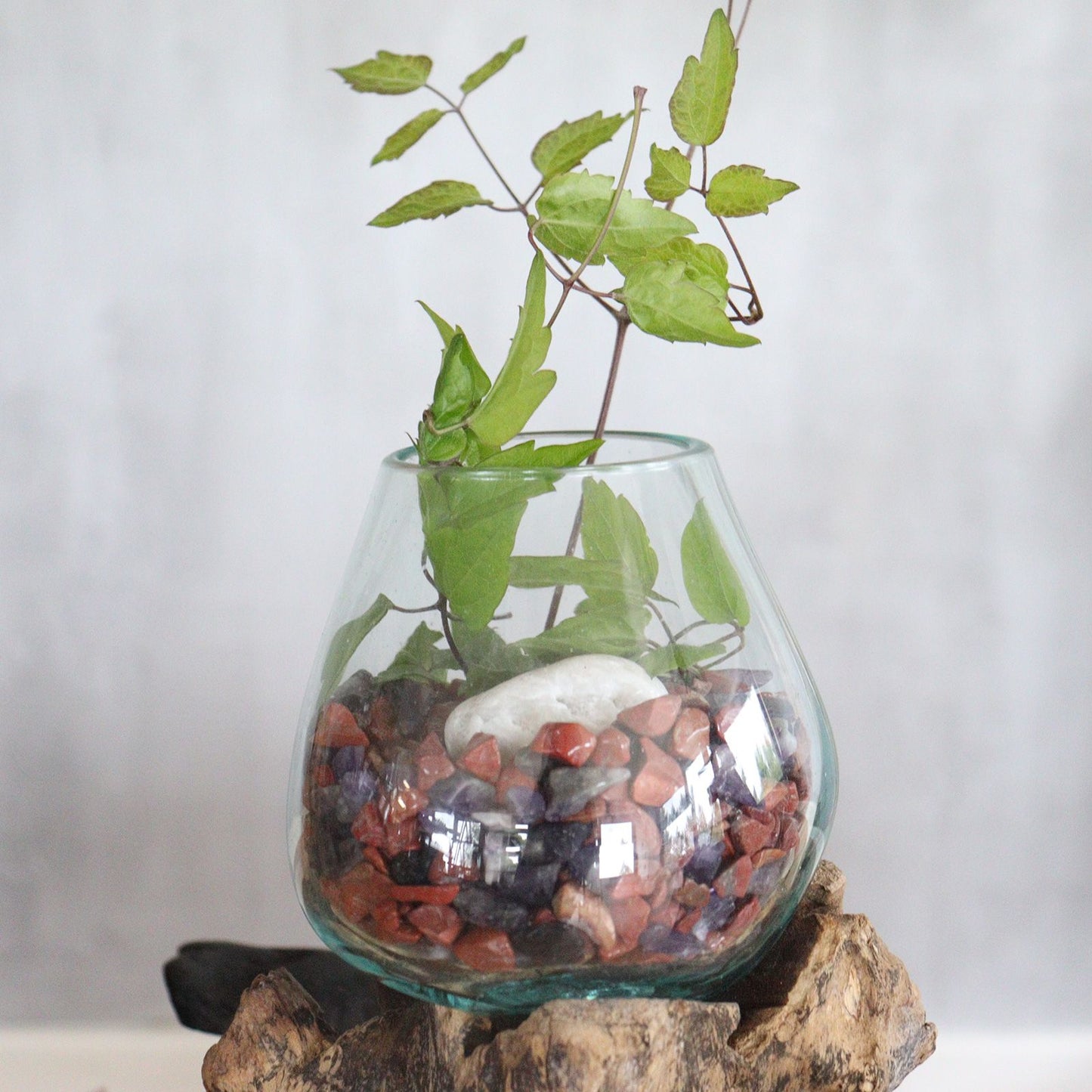 Vidrio fundido sobre madera con soporte - Cuenco grande